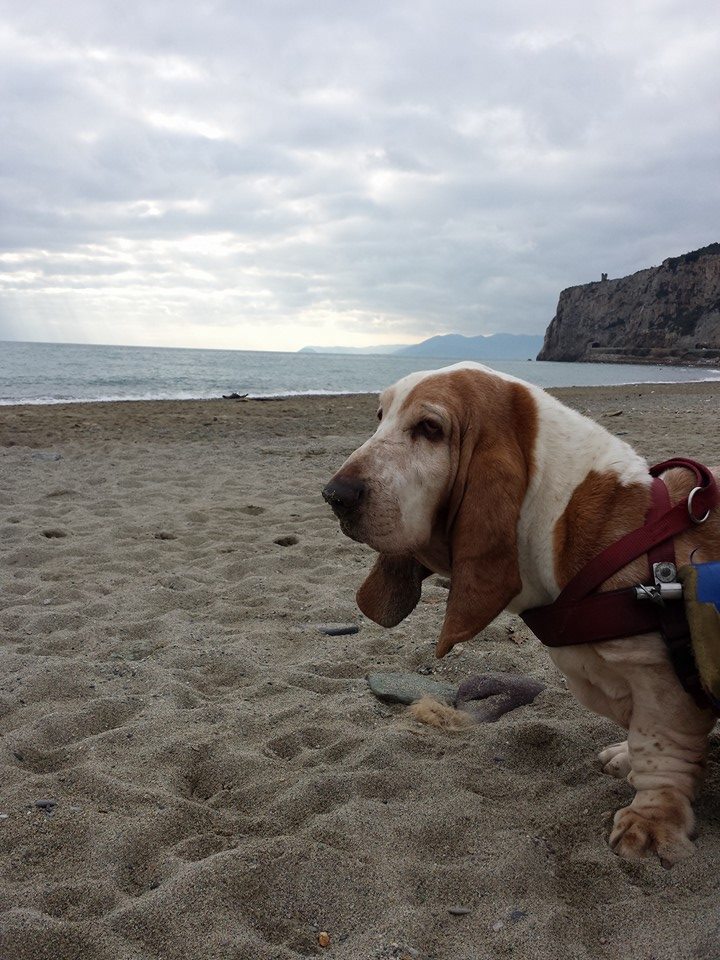 Camillo sulla spiaggia