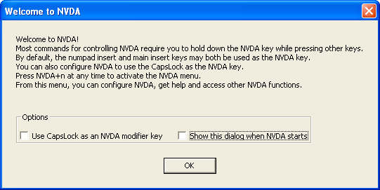 La schermata di benvenuto di NVDA